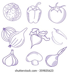 Freehand vector sketches