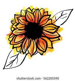 A freehand vector and watercolor drawing of a yellow sunflower