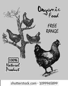free-range hens. hen living in tree, products from chicken meat and eggs ,illustration hen. hand drawn chicken