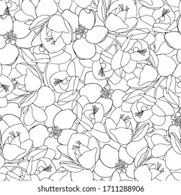 Freesia and apple flower seamless vector pattern. Romantic hand drawn line design for wallpaper, interior materials and fashion textiles. Minimal black and white colour combination.