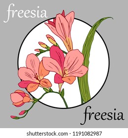 Freesia branch color icon for web and mobile design