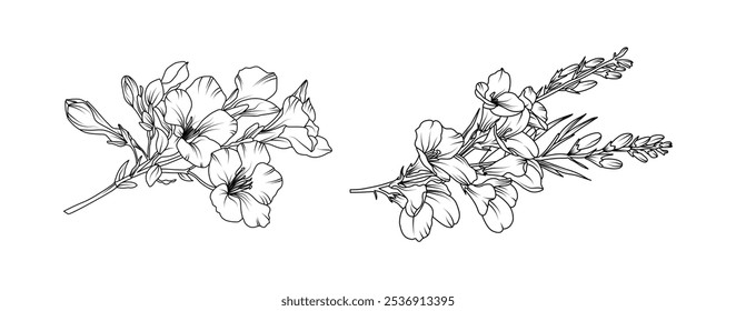 Arreglo de flores de Freesia línea de arte sobre fondo blanco. Silueta freesia botánica dibujado a mano elemento para la boda, diseño de marco de invitación, Ilustración vectorial