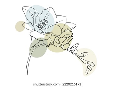 Freesia flower with circle shapes on white background. Floral line art. Outline vector flowers. Wedding elegant continuous line drawing. 