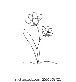 Freesia flower Continuous line art flat vector illustration on white background.