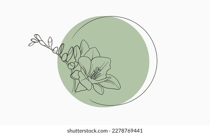 Freesia Flower with green circle shape on white background. Floral line art. Outline vector flowers. Wedding elegant continuous line drawing.