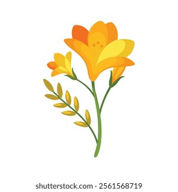 
Freesia flower isolated flat vector illustration on white background.