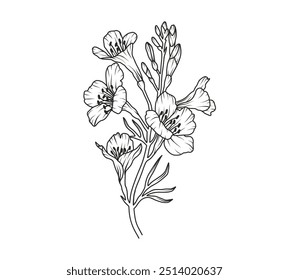 Freesia flower line art. Floral logo hand drawn sketch. Wild bouquet abstract elegant spring leaves. Black vintage botanical floral branch. Vector illustration in outline style