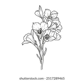 Freesia flower line art. Floral logo hand drawn sketch. Wild bouquet abstract elegant spring leaves. Black vintage botanical floral branch. Vector illustration in outline style