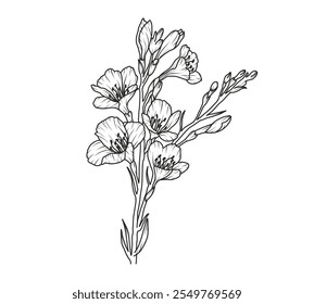 Freesia flower line art. Floral logo hand drawn sketch. Wild bouquet abstract elegant spring leaves. Black vintage botanical floral branch. Vector illustration in outline style