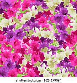 Freesia flowers pattern. Vector flowers. Pattern for printing on fabric. Summer pattern