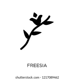 Freesia icon. Freesia symbol design from Nature collection. Simple element vector illustration on white background.