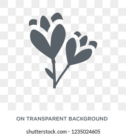 Freesia icon. Trendy flat vector Freesia icon on transparent background from nature collection. 