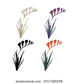 Freesia isolated flowers simple set