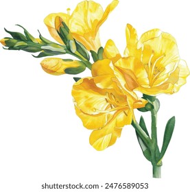 Freesia isoliert auf weißem Hintergrund. Gelbe Freesia tropische Blume. Botanische Aquarell-Vektorillustration, Blumenelement zum Erstellen von Postkarten