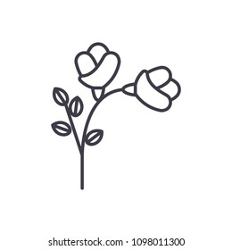 Concepto de icono de línea de Freesia. Signo de vector plano de Freesia, símbolo, ilustración.