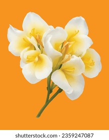 Freesia realistische Illustrationsblume 3D-Design