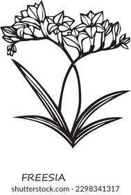 Freesia Vector Black Stock Flower