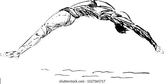 Freestyle Swimmer Black Silhouette. Vector illustration of a male diver captured mid-air during a dive into water. Hand-drawn black ink lines highlight athletic form, motion arc, and body control.