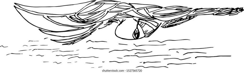 Freestyle Swimmer Black Silhouette. Vector of swimmers are swimming in swimming pool