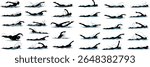 Freestyle Swimming Stroke Technique Sequence Vector Illustration