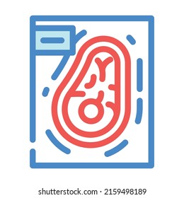 freeze meat color icon vector. freeze meat sign. isolated symbol illustration