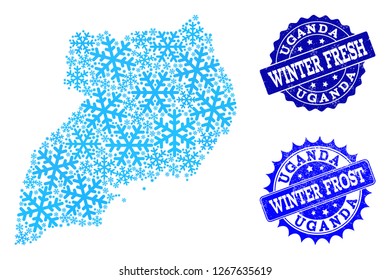Freezing map of Uganda and distress stamp seals in blue colors with Winter Fresh and Winter Frost texts. Mosaic map of Uganda is created with ice elements.