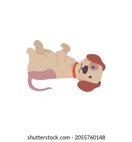 freindly puppy vector illustration design eps.10