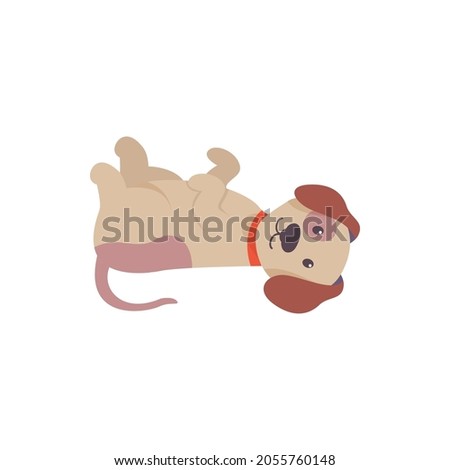 freindly puppy vector illustration design eps.10
