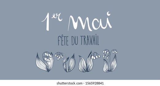 French 1st may thrush flower illustration banner
