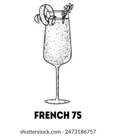 French 75 cocktail illustration. Hand drawn sketch. Vector illustration. Isolated object. NOT AI