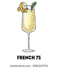 French 75 cocktail illustration. Hand drawn sketch. Vector illustration. Isolated object.	