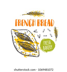 French bread concept design. Hand drawn vector illustration. Can be used for badges, labels, logo, bakery, street festival, farmers market, country fair, shop, kitchen classes, cafe, food studio.