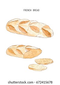 french bread pastry sliced and full , hand drawn sketch vector.