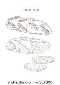 french bread pastry sliced and full , hand drawn sketch vector.