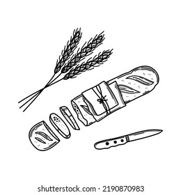 French bread, vector illustration of baguette. Bread For sandwich in sketch style.