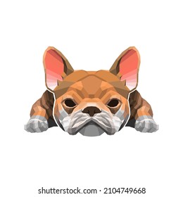 french buldog lowpoly style vector illustration vector design