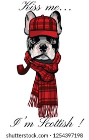 French buldog with a scottish cap and a pipe - vector illustration