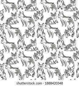 French Buldog Vector Pattern On White Stock Vector (Royalty Free ...