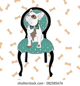 French bulldog