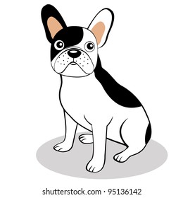 French bulldog