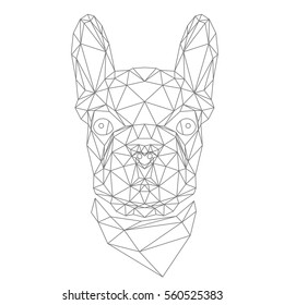 French Bulldog, animal head in abstract polygonal style