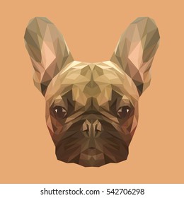 French bulldog animal low poly design. Triangle vector illustration.