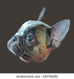 French bulldog animal low poly design. Triangle vector illustration.