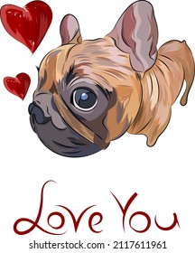 French Bulldog art for St Valentine's day, birthday cards, anniversary card, holidays. Dog with hearts, bulldog painting. Colorful pet portrait. 