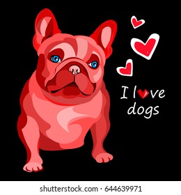 French bulldog background. Vector illustration. Dog, illustration, french