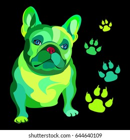 French bulldog background. Vector illustration. Dog, illustration, french