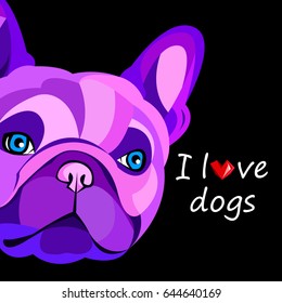 French bulldog background. Vector illustration. Dog, illustration, french