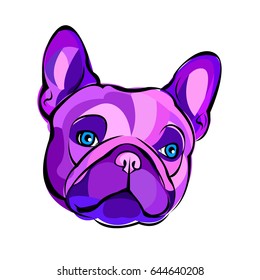 French bulldog background. Vector illustration. Dog, illustration, french