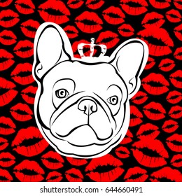French bulldog background. Vector illustration. Dog, illustration, french