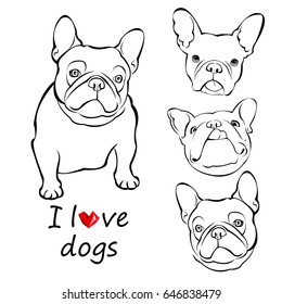 French bulldog background. Vector illustration. Dog, illustration, french